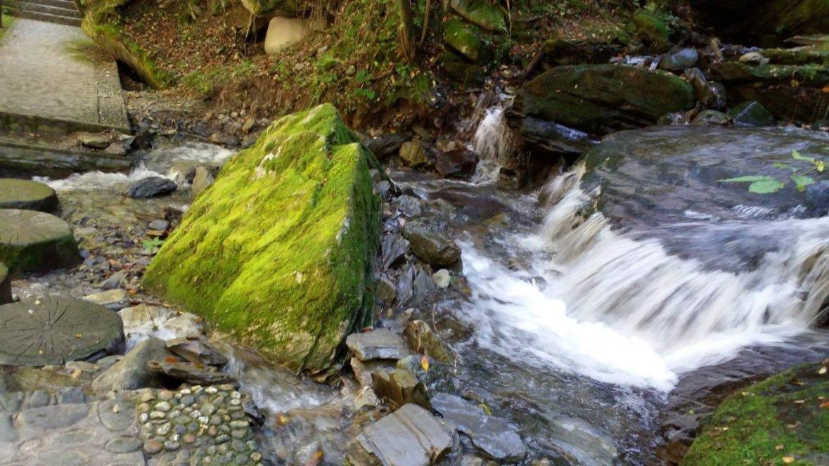 逃离粉红岛